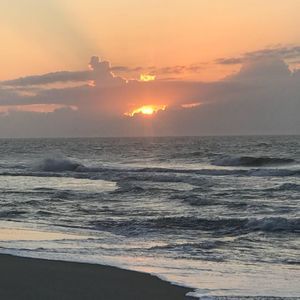 Meet your Posher, Ginger